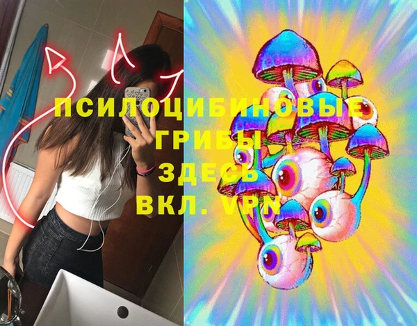 бошки Михайлов