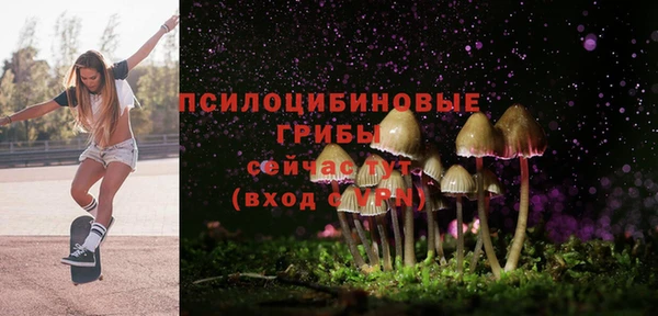 бошки Михайлов